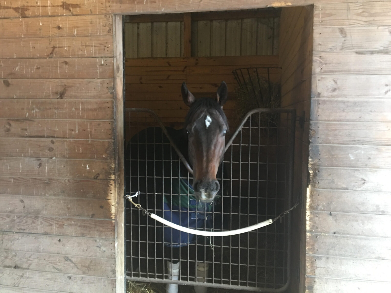 Florida Boys - Bush Racing StableBush Racing Stable