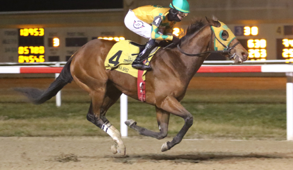 Penn National Racecourse in Grantville, PA. Photo By /EQUI-PHOTO