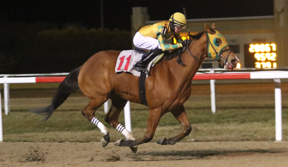 Penn National Racecourse in Grantville, PA. Photo By /EQUI-PHOTO