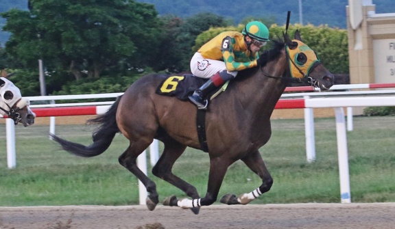 Penn National Racecourse in Grantville, Pa. Photo By EQUI-PHOTO