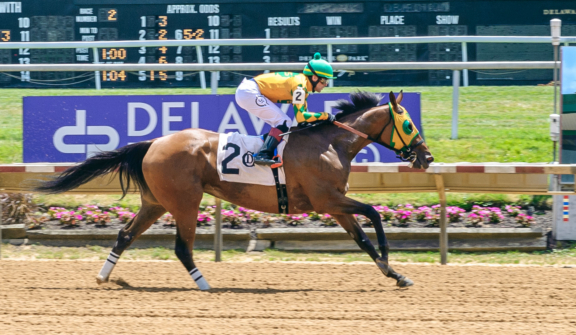 racehorse, Golden Eib Micrphn winning at Delaware Park on 7/3/24