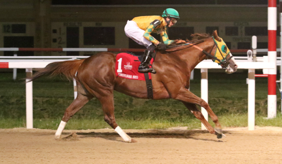 Penn National Racecourse in Grantville, Pa. Photo By EQUI-PHOTO