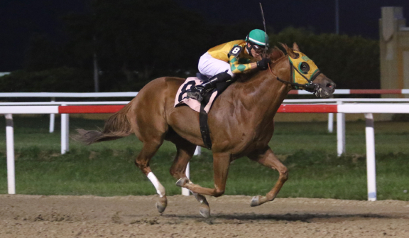 Penn National Racecourse in Grantville, Pa. Photo By EQUI-PHOTO