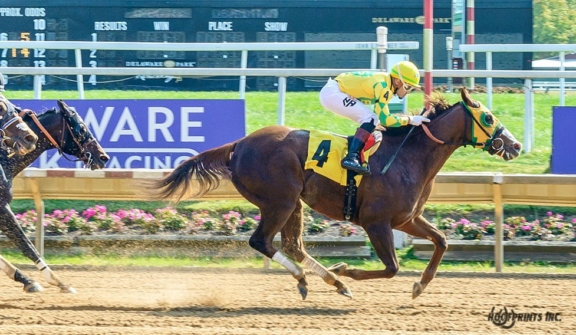 racehorse, Sassy Lad winning at Delaware Park on 10/12/24