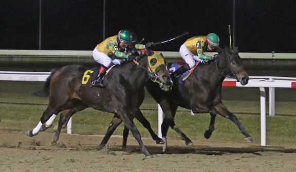 Penn National Racecourse in Grantville, Pa. Photo By EQUI-PHOTO