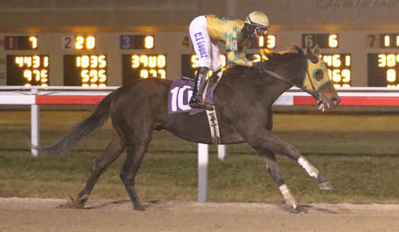 Penn National Racecourse in Grantville, Pa. Photo By EQUI-PHOTO