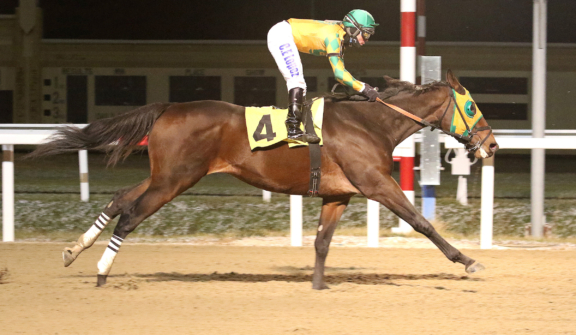 Penn National Racecourse in Grantville, Pa. Photo By EQUI-PHOTO