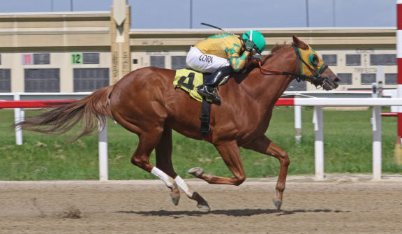 Penn National Racecourse in Grantville, Pa. Photo By EQUI-PHOTO