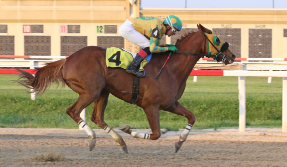 Penn National Racecourse in Grantville, Pa. Photo By EQUI-PHOTO