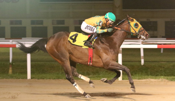 at Penn National Racecourse in Grantville, PA.  Photo By EQUI-PHOTO