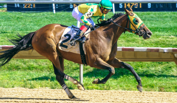 racehorse, Golden Eib Microphn winning at Delaware Park on 8/28/25
