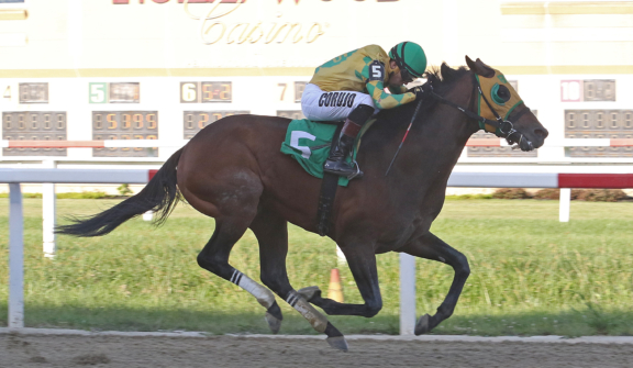 Sunday Gilt at Penn National Racecourse in Grantville, PA.  Photo By EQUI-PHOTO