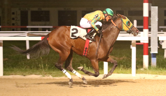 8.8.2025- Diamond Essence – Finish Line