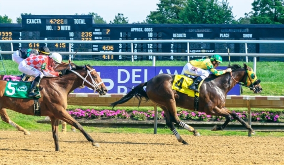 racehorse, Point Dume winning at Delaware Park on 9/13/25