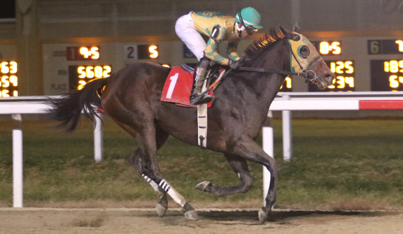 Braquet at Penn National Racecourse in Grantville, PA.  Photo By EQUI-PHOTO