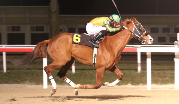 Penn National Racecourse