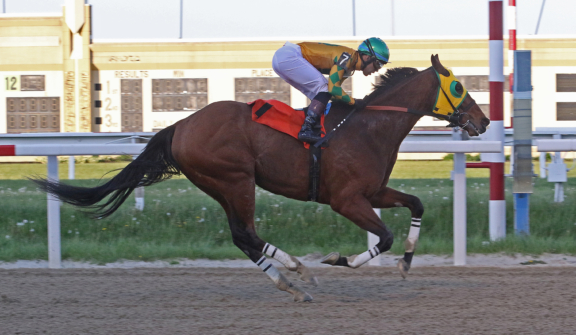 Penn National Racecourse