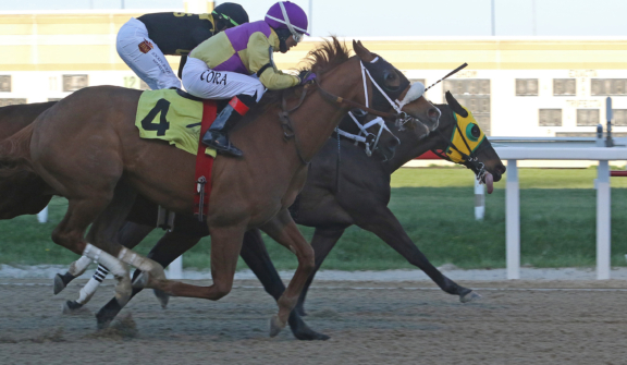 Penn National Racecourse