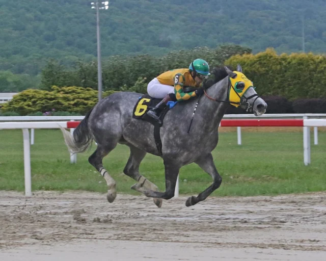 Hope’s Alive, looked ALIVE tonight, cruising to an easy WIN over allowance company @hollywoodpnrc. Excellent conditioning by our team and ride by @angel.cruzz01! 👍🏆🏇@pa_hbpa
