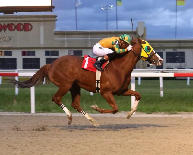 What Does It Take, took it home tonight, under a front running score with @avivado.91 up! GREAT work by our team getting two straight WINs off the claim and raising up in class - all in less than 30 days!! @pa_hbpa @pennnationalracing @pennhorseracing