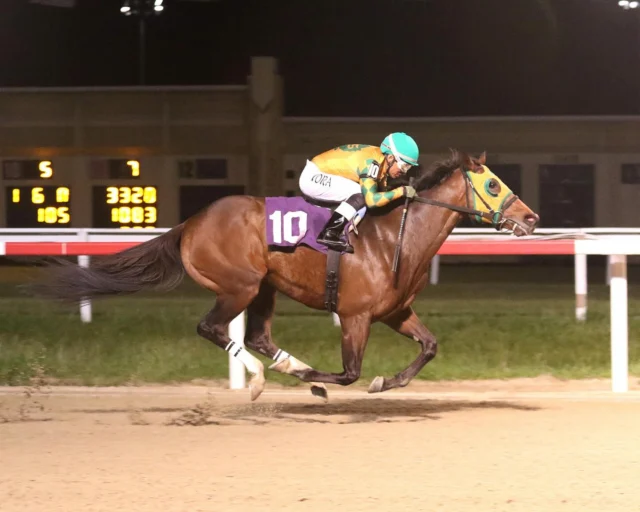 Go East, made it a two WIN night for the team, with a perfect ride by @david.cora.796. Great work by our team getting Go East right and back in the winner’s circle! @pa_hbpa @pennhorseracing