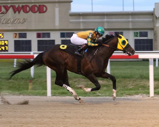 Heaven Street, rolled back on short rest, and took them wire to wire under @angel.cruzz01 tonight @hollywoodpnrc! 👍🏆🏇