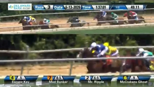 Great WIN yesterday for Mr Ripple @DelParkRacing who crossed the finished line second, but was interfered with by the winner at the top of the stretch, and put up for the WIN. Thanks to @martinchuan for the great ride! 👍🏇🏆