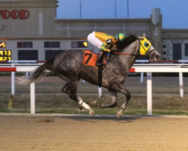 Hope’s Alive, crushed the competition this past weekend @hollywoodpnrc under an easy ride by @angel.cruzz01! @pa_hbpa