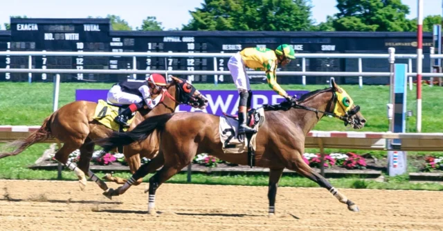 In the Dance, danced home today as a last to first WINNER @delawarepark_racing under a perfectly timed ride by @edwingonzalez____. BIG thanks as always to our team for having him ready to roll!  #DoItForDad 👍 

📸 by @ Hoofprints