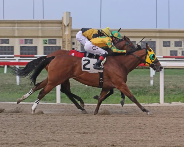 DAD - Decree and Declare, got the WIN tonight with a little extra boost from dad down the lane to get up at the wire! BIG thanks to our team and @jomarjockey for the great ride. #DoItForDad @pa_hbpa @pennhorseracing