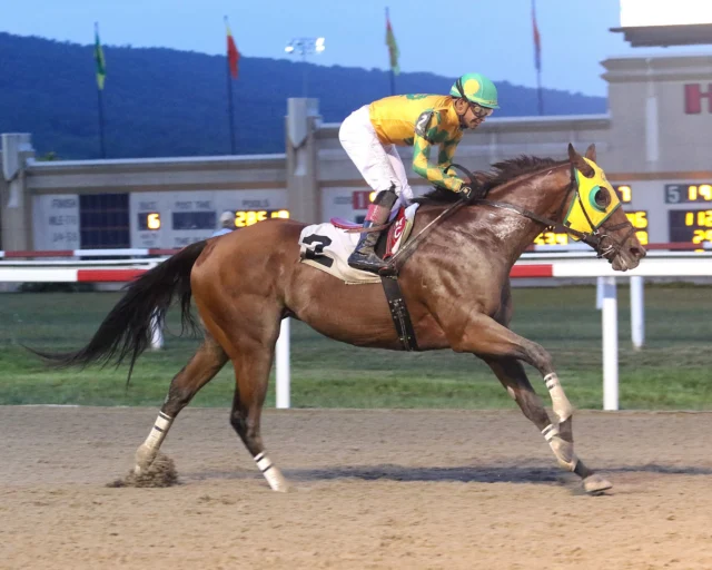Mr. Ripple, rips away from the competition tonight @hollywoodpnrc under a perfect ride by @martinchuan! 🏇💨Winning by a dozen lengths while being geared down! 👍 @pa_hbpa