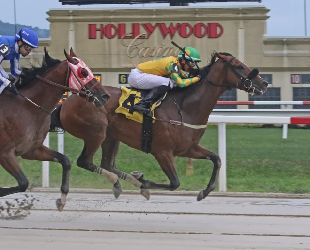 Ortho Star, looked like a rock star tonight, battling down the stretch to WIN first off the claim @hollywoodpnrc. Great job by our team and ride by Angel Rodriguez! @pa_hbpa