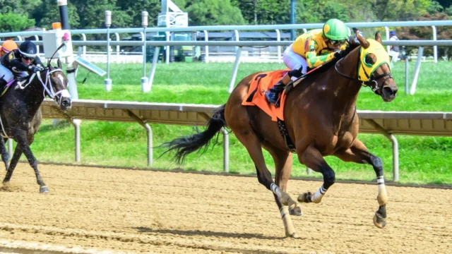Mr. Ripple goes from claimer to stakes WINNER, ripping past the field turning for home under @martinchuan and drawing clear to win the 100k DTHA Governor’s Day Handicap @delawarepark_racing! 👍🐎🏆📸 Hoofprints, Inc.